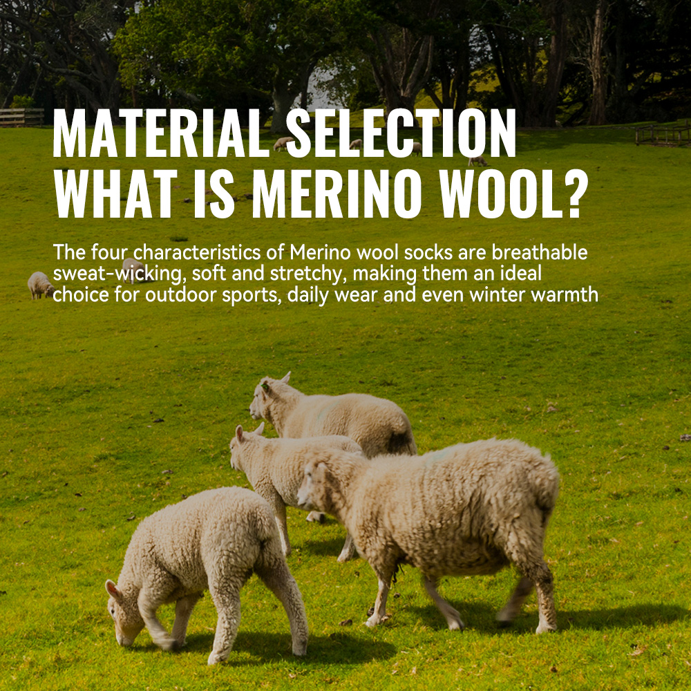 WRELS 1/2/3 メリノウールソックス サーマルウォー - Thermal Sock Wool のレビューと価格